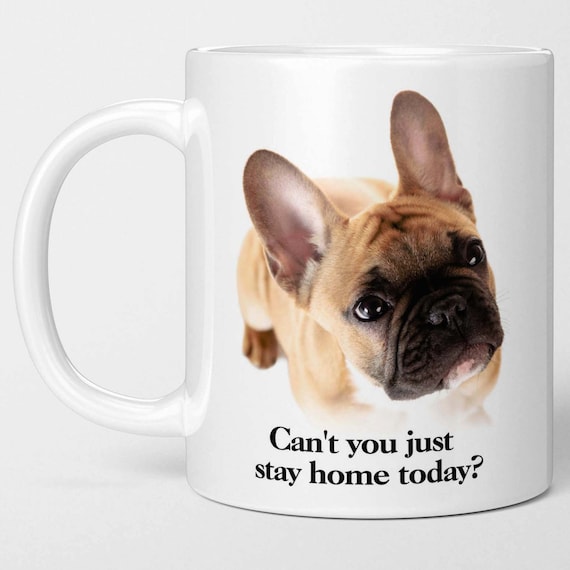 Kim teacup frenchies cheap