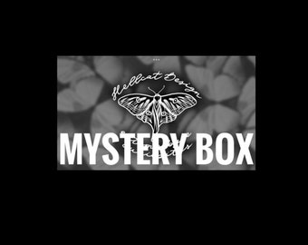 Boite mystère hellcatdesign entomologie taxidermie cabinet curiosité oddities mystery box lithotherapie insecte os cadeau papillon taille S