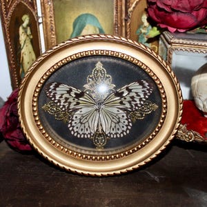 ANCIEN CADRE OVALE En Bois Noir - Verre Bombé - Vierge Terrassant Le