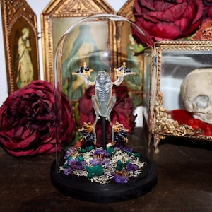 Peut inclure: Une cloche en verre avec une sculpture de grenouille argentée à l'intérieur, posée sur un lit de fleurs séchées. La grenouille a les bras et les jambes tendus. La cloche repose sur une base noire, avec une rose rouge foncé et de l'art encadré en arrière-plan.