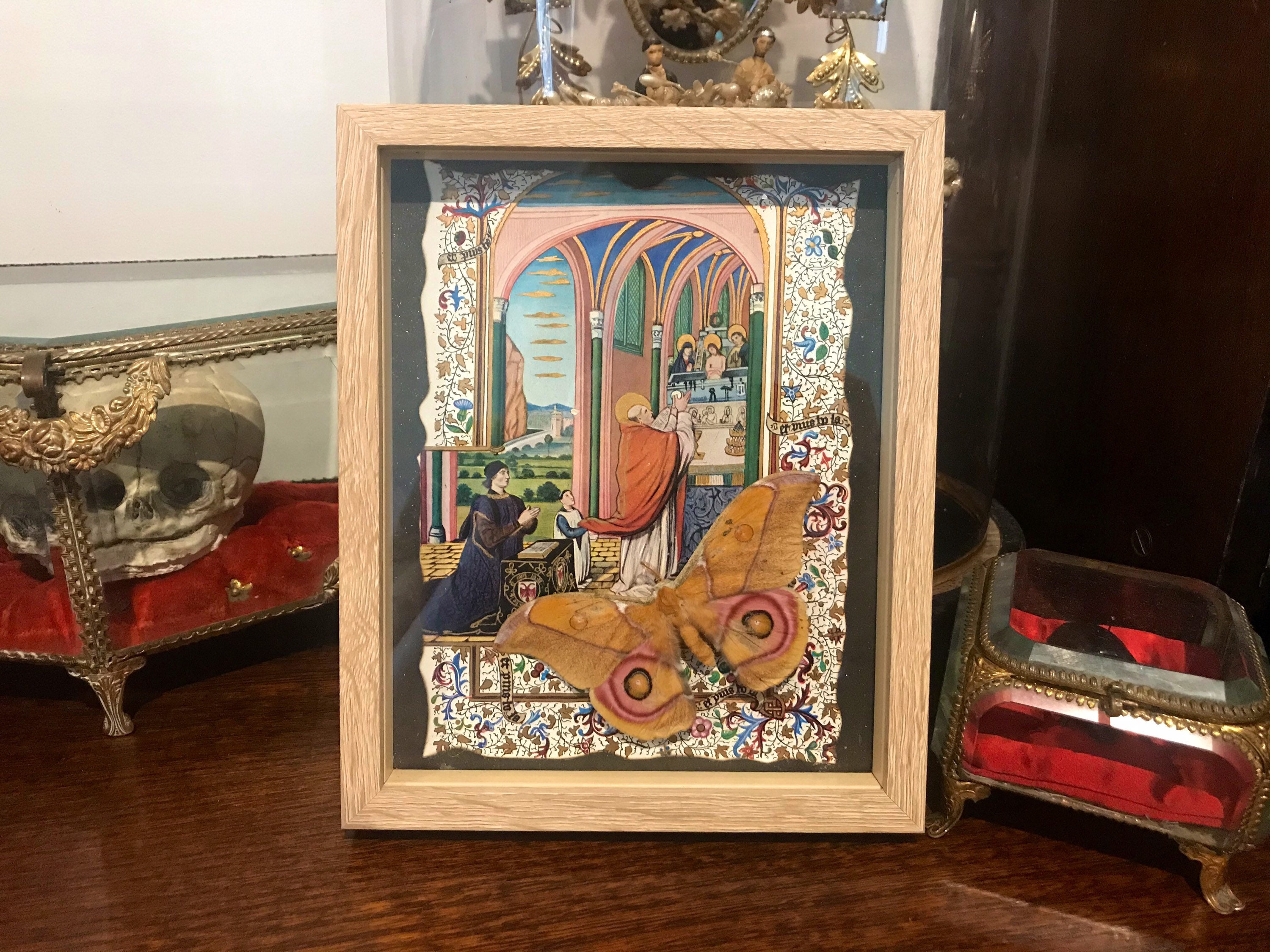 Cadre Véritable Papillon Naturalisé Antherina Suraka Cabinet de Curiosité Haunted Framed Gravure Bib