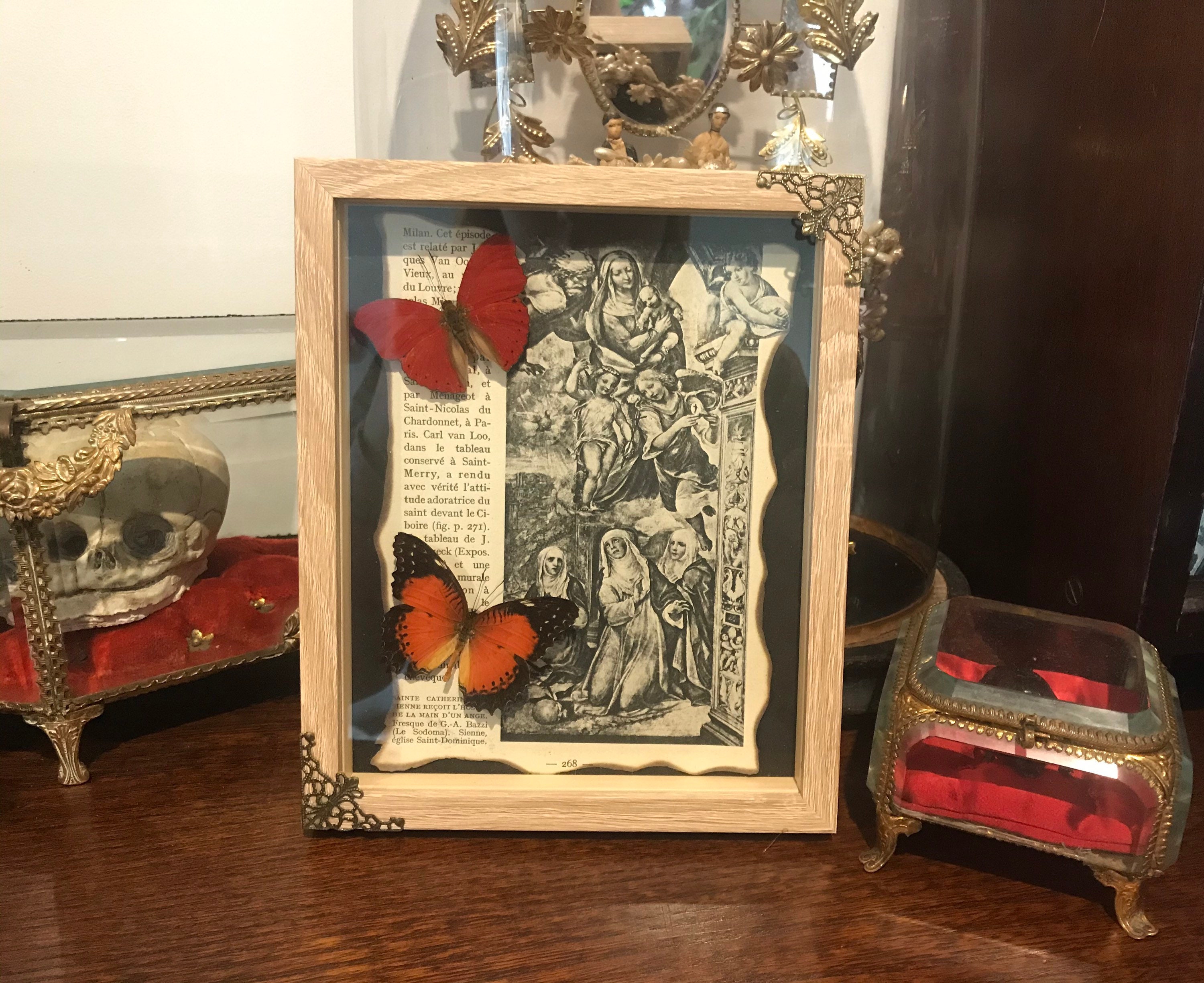 Cadre Véritable Papillon Naturalisé Cethosia Cyane Cymothoe Sangaris Cabinet de Curiosité Haunted Fr