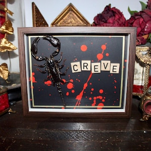 Frame scorpion entomology cabinet of curiosities witch decor dark scorpio oddities Horror creve be my valentine