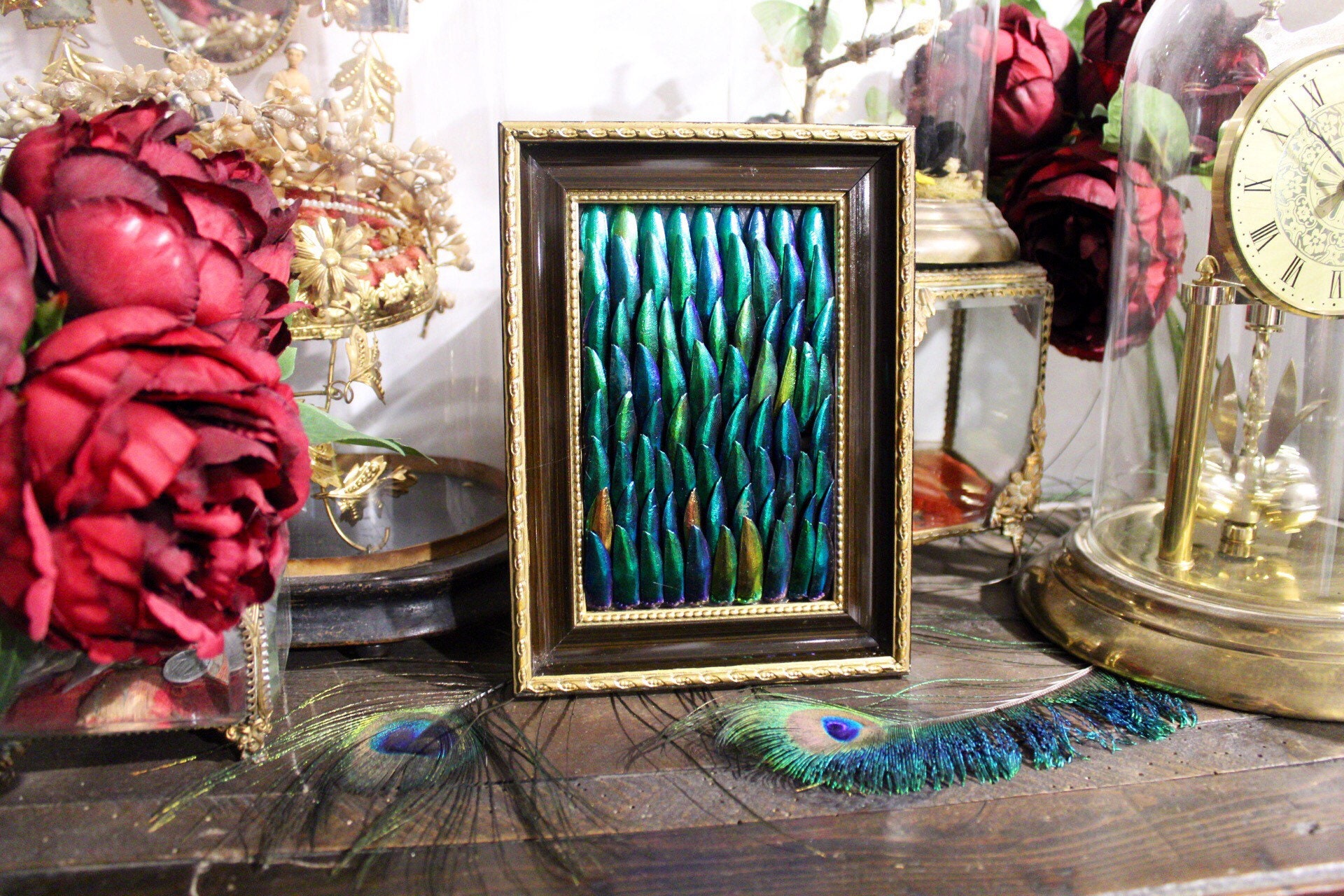 Cadre Ancien Doré Ailes Coléoptères Elytres Sternocera Cabinet Curiosité Entomologie Naturalisé Taxi