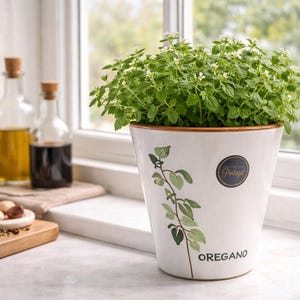 May include: A white ceramic oregano planter with a green and brown design, filled with fresh green oregano. The planter has a gold rim and a label that says "Portugal". Other items include olive oil, balsamic vinegar, garlic, and spices.