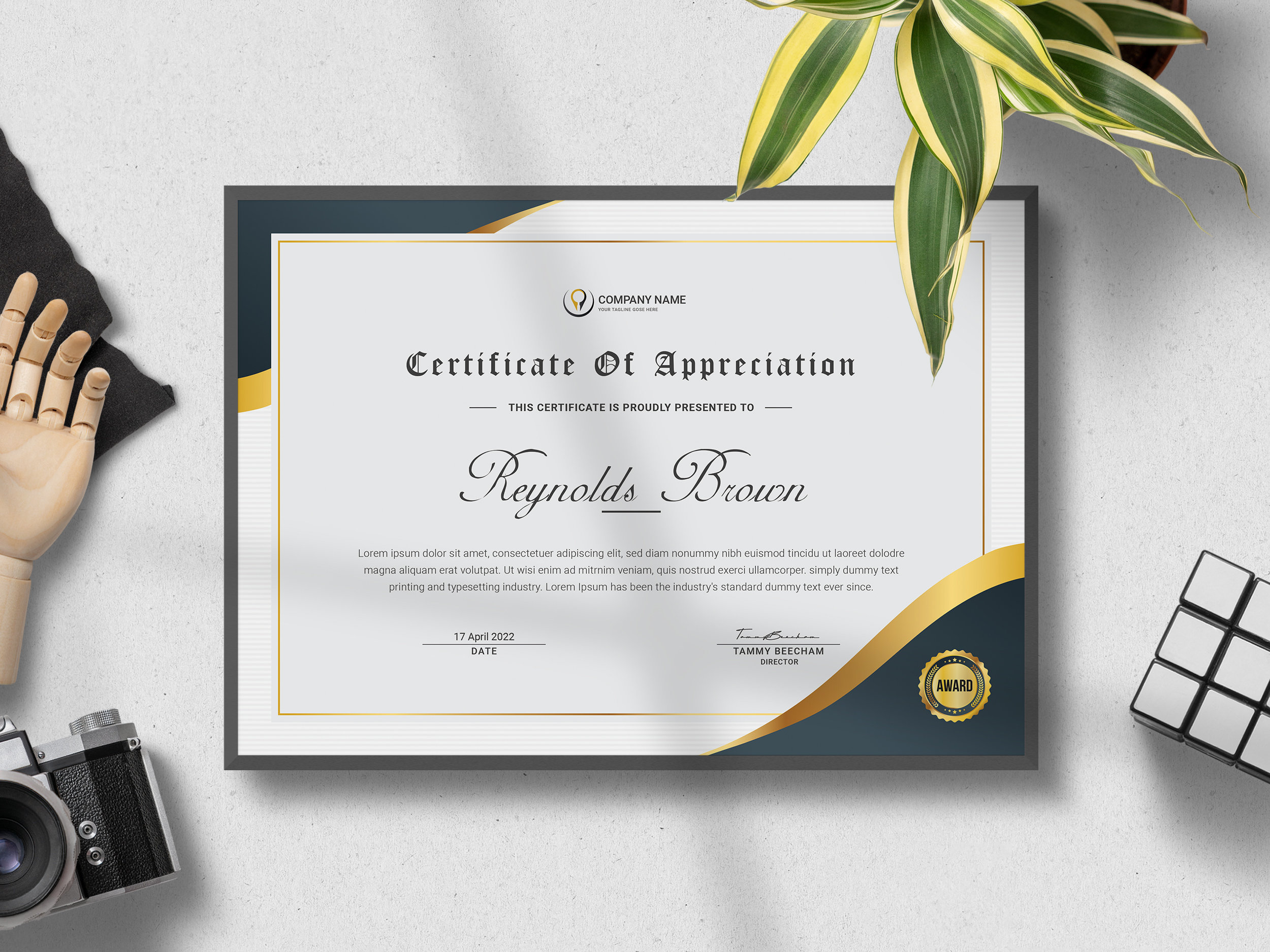 Certificate Template Word, Certificate of Completion, Appreciation  Certificate, Achievement Certificate, Award Certificate, Word Editable Within Borderless Certificate Templates