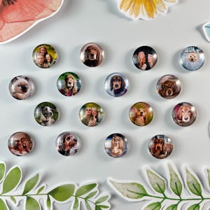 Puede incluir: Una colección de imanes redondos de vidrio con fotos de perros y personas. Los imanes están dispuestos en una cuadrícula sobre una superficie blanca.