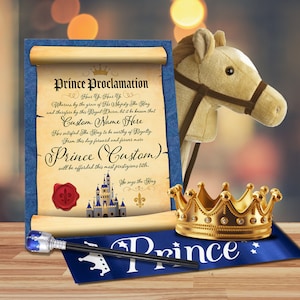 May include: A regal set including a scroll with "Prince Proclamation" text, a toy horse head, a gold crown, a blue sash with "Prince" text, and a scepter. The scroll has space for a custom name, ideal for a prince.