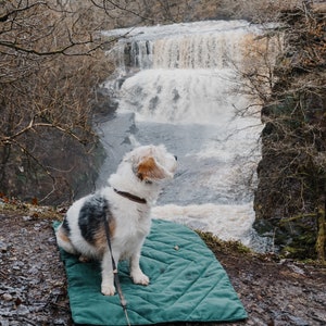 Stylish Dog Travel Blanket Chic, Cosy, Portable, Ideal for Gifts & Pets Supports Dogs in Need Perfect for Car, Pub, Outdoors, Training image 2