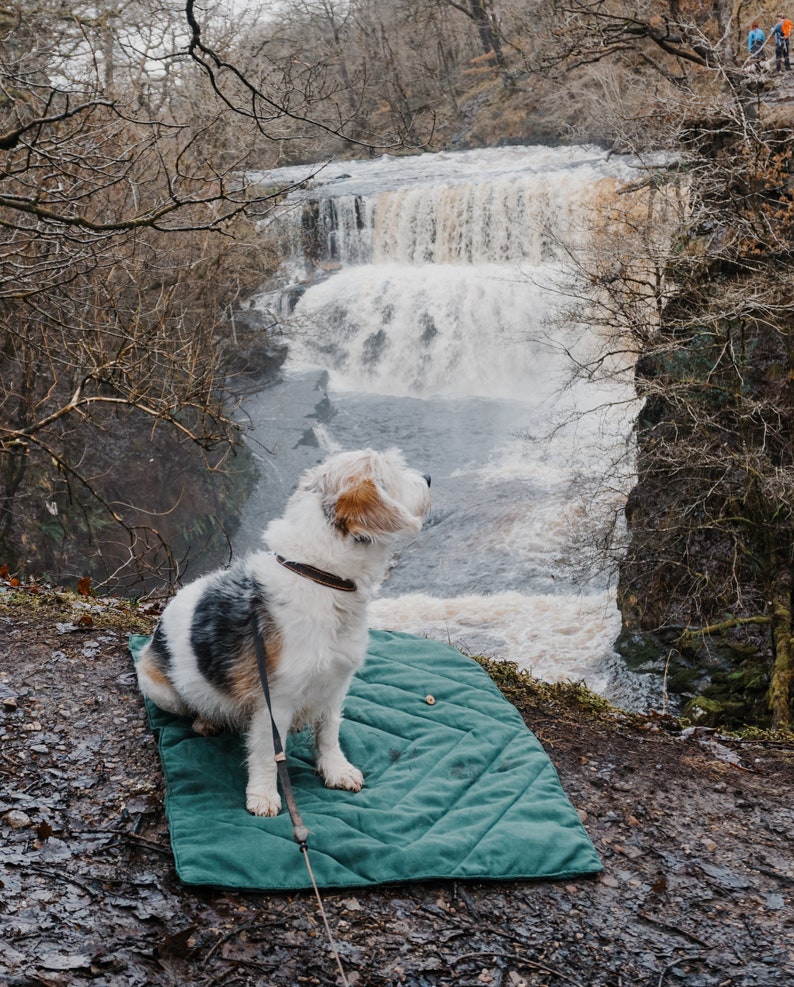 Stylish Dog Travel Blanket Chic, Cosy, Portable, Ideal for Gifts & Pets Supports Dogs in Need Perfect for Car, Pub, Outdoors, Training image 2