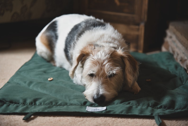 Stylish Dog Travel Blanket Chic, Cosy, Portable, Ideal for Gifts & Pets Supports Dogs in Need Perfect for Car, Pub, Outdoors, Training image 4