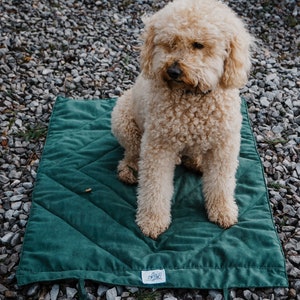 Stylish Dog Travel Blanket Chic, Cosy, Portable, Ideal for Gifts & Pets Supports Dogs in Need Perfect for Car, Pub, Outdoors, Training image 3