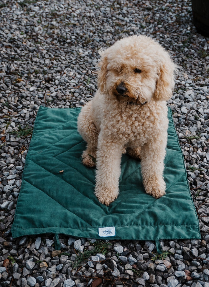 Stylish Dog Travel Blanket Chic, Cosy, Portable, Ideal for Gifts & Pets Supports Dogs in Need Perfect for Car, Pub, Outdoors, Training image 3