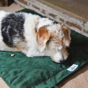 Stylish Dog Travel Blanket Chic, Cosy, Portable, Ideal for Gifts & Pets Supports Dogs in Need Perfect for Car, Pub, Outdoors, Training image 5