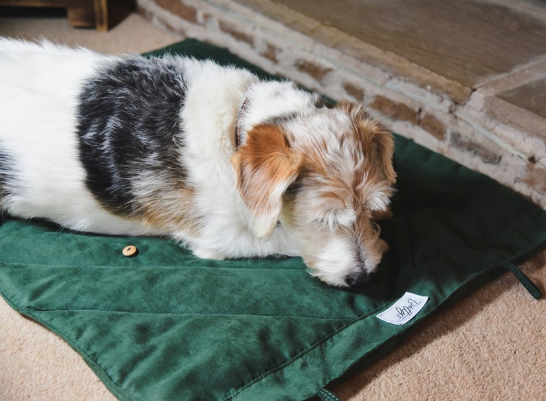 Stylish Dog Travel Blanket Chic, Cosy, Portable, Ideal for Gifts & Pets Supports Dogs in Need Perfect for Car, Pub, Outdoors, Training image 5