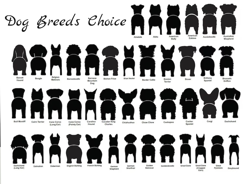 May include: A chart of various dog breeds, with each breed represented by a black silhouette of the dog's rear end. The chart is titled "Dog Breeds Choice".