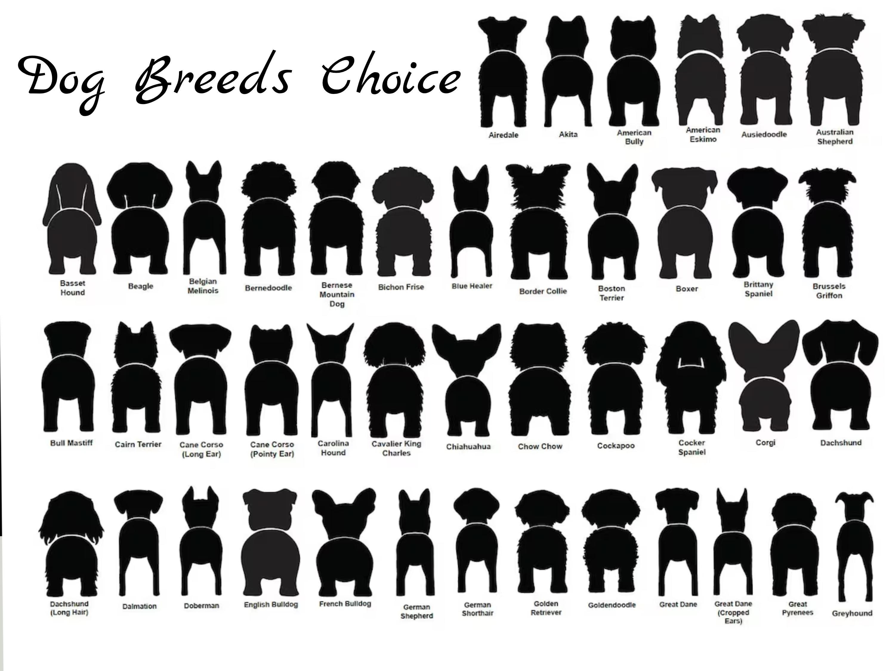 Personalized Dog Leash Holder, Leash Hook, Dog Butt Leash Holder For Wall, Gift for Dogs, Dog Hanging Sign