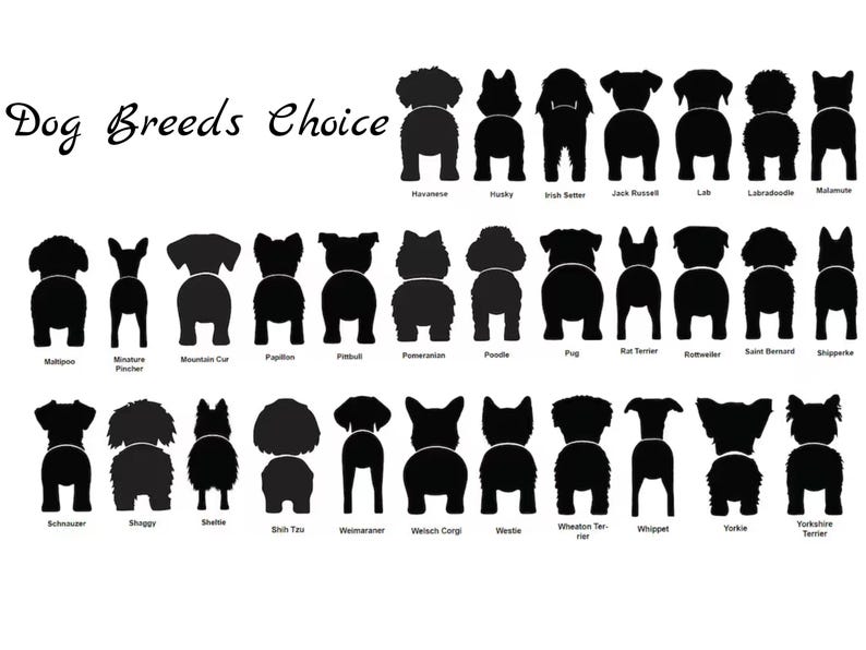 May include: A black and white graphic showing the silhouettes of 25 different dog breeds viewed from behind. The breeds are listed below each silhouette.