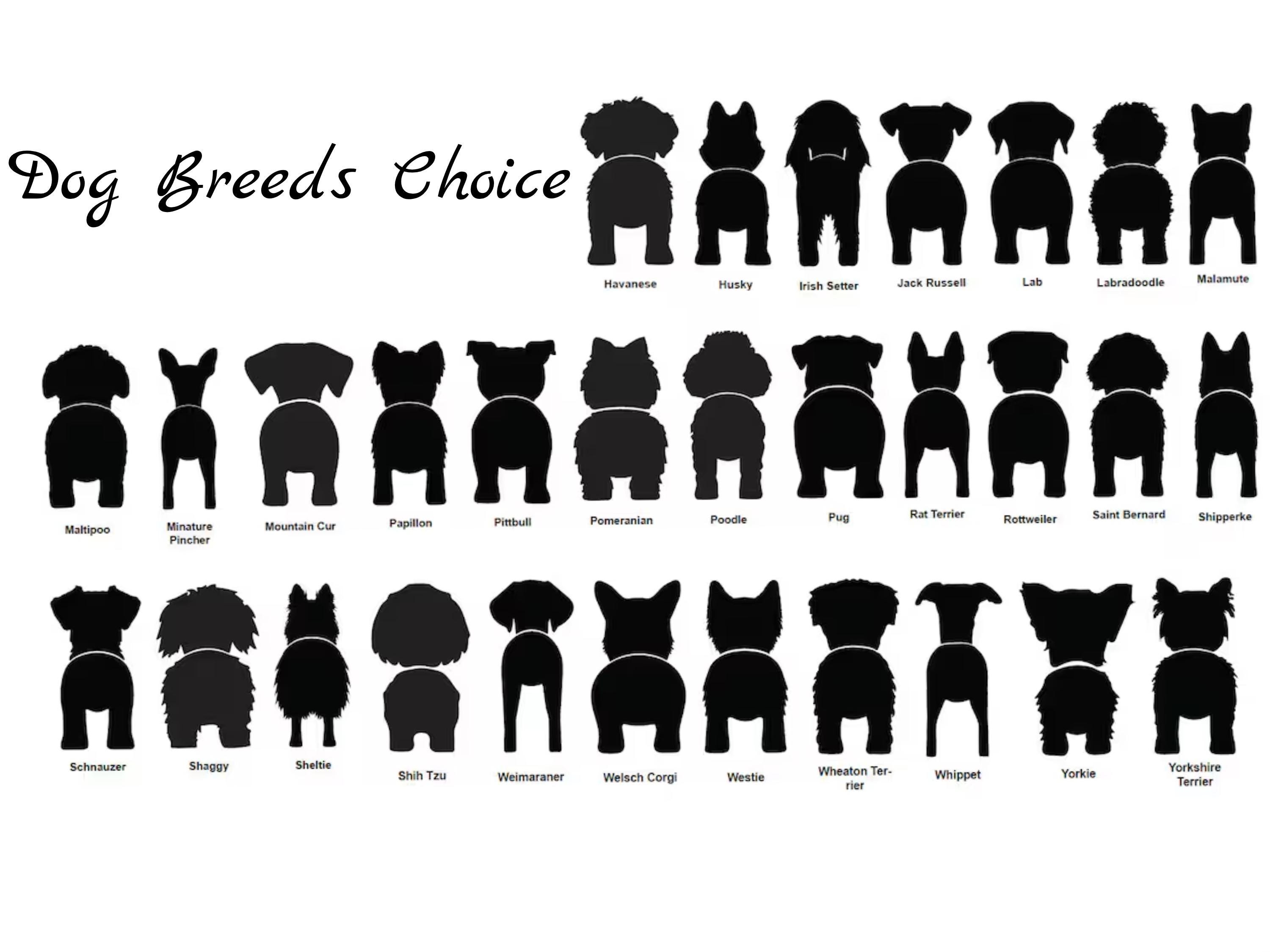 Personalized Dog Leash Holder, Leash Hook, Dog Butt Leash Holder For Wall, Gift for Dogs, Dog Hanging Sign