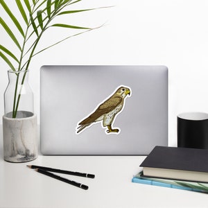 Prairie Falcon Sticker, adesivi senza bolle