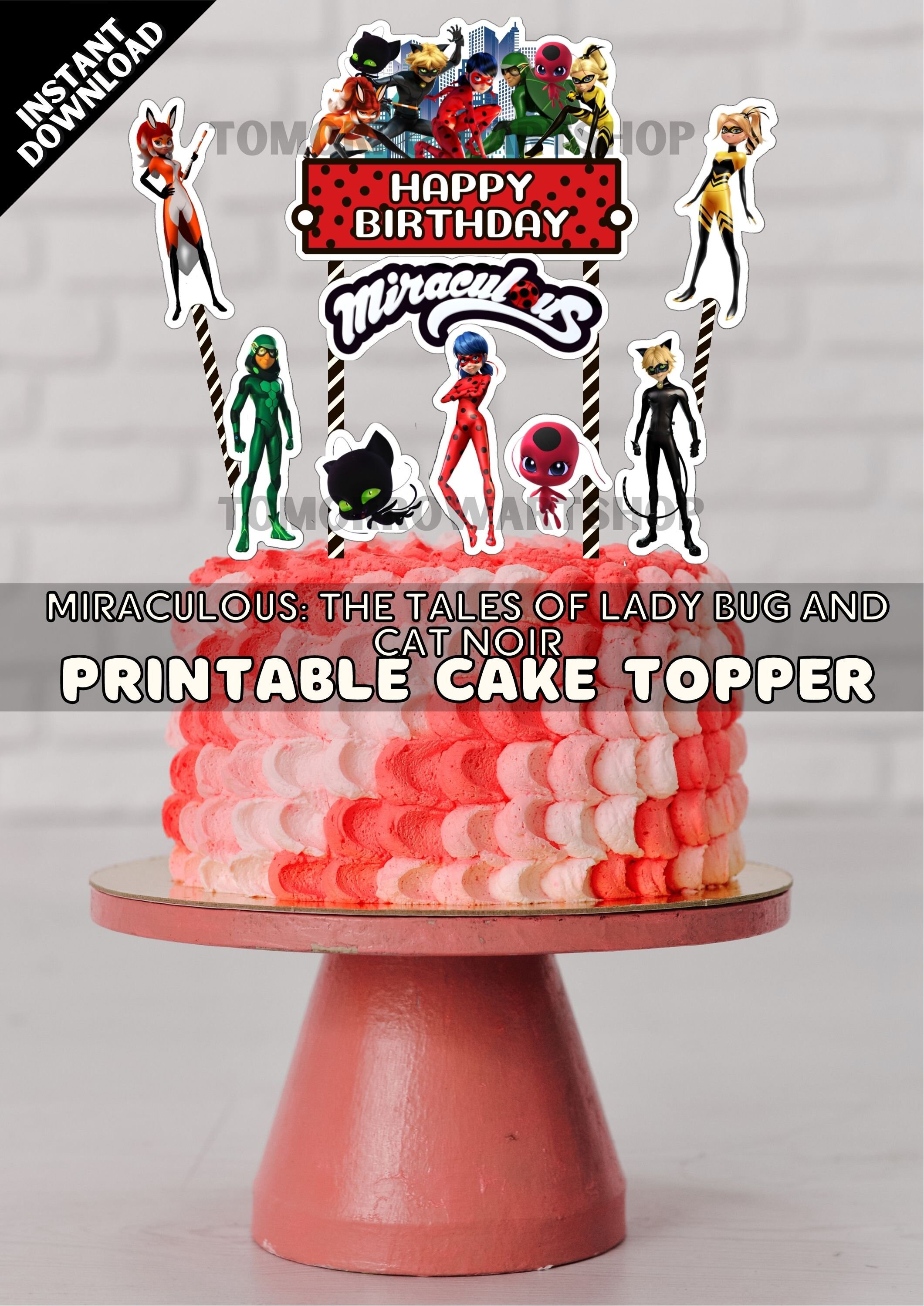 Printable Miraculous Tales of Ladybug and Cat Noir Cake | Etsy