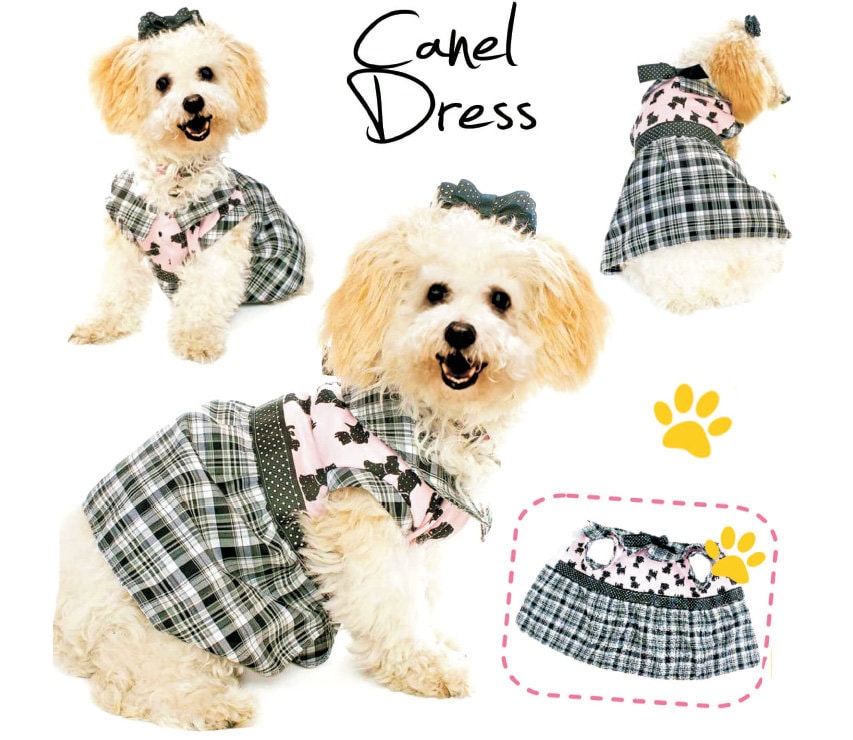 Dog Fashion Dress All Sizes XS-S-M-L Sewing PDF - Etsy