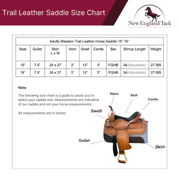 Share 93+ imagen how to measure saddle seat size In.thptnganamst.edu.vn