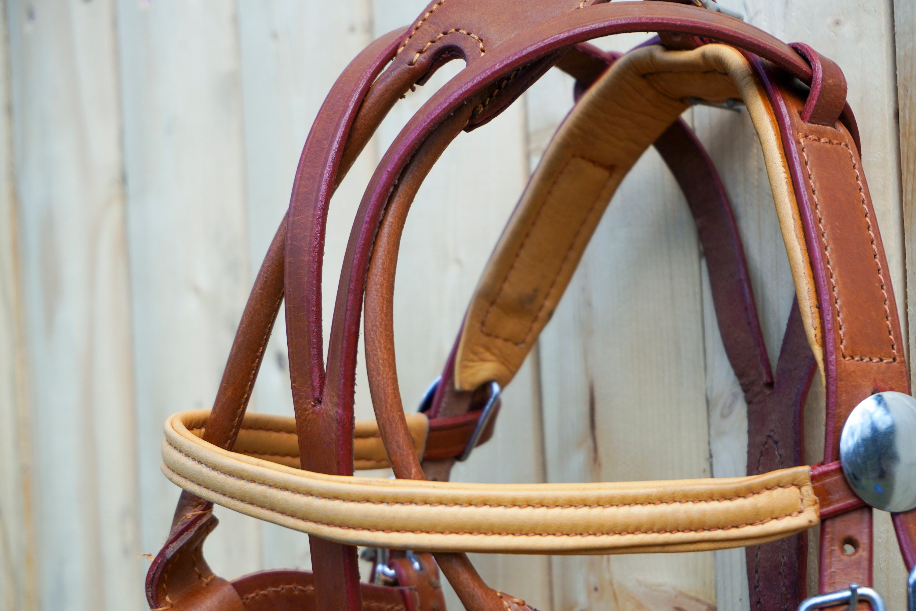 Miniature Horse Leather Driving Harness Set Tan Size Small Etsy