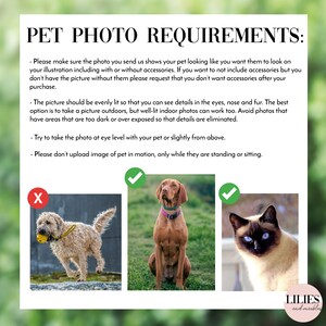 K&ouml;nnte beinhalten: Ein Leitfaden mit Anweisungen, wie man gute Fotos von Haustieren f&uuml;r benutzerdefinierte Illustrationen macht. Der Leitfaden enth&auml;lt drei Beispielfotos: ein laufender Hund, ein sitzender Hund und eine sitzende Katze. Die Fotos sind mit einem H&auml;kchen f&uuml;r gute Beispiele und einem X f&uuml;r schlechte Beispiele gekennzeichnet.