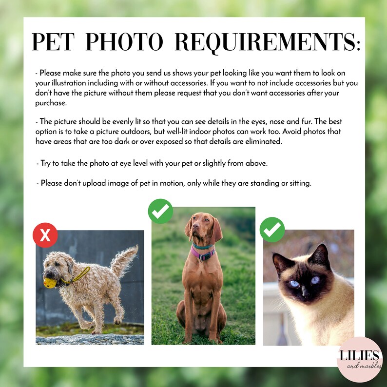 K&ouml;nnte beinhalten: Ein Leitfaden mit Anweisungen, wie man gute Fotos von Haustieren f&uuml;r benutzerdefinierte Illustrationen macht. Der Leitfaden enth&auml;lt drei Beispielfotos: ein laufender Hund, ein sitzender Hund und eine sitzende Katze. Die Fotos sind mit einem H&auml;kchen f&uuml;r gute Beispiele und einem X f&uuml;r schlechte Beispiele gekennzeichnet.