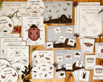 May include: A set of printable educational resources for learning about bugs. The set includes life cycle diagrams for ladybugs, praying mantises, butterflies, and bees. There are also cards with pictures of different bugs and a bug research journal.