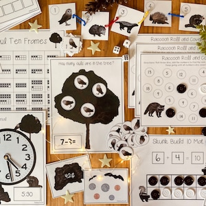 Nocturnal Animals Unit: Math Pack