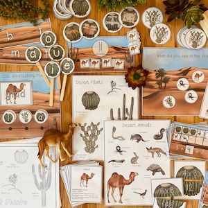Puede incluir: Un conjunto de materiales educativos para enseñar sobre el desierto. El conjunto incluye tarjetas con imágenes de animales y plantas del desierto, así como tarjetas de construcción de palabras, tarjetas de conteo y un tablero de juego. Los materiales están diseñados para ayudar a los niños a aprender sobre el ecosistema del desierto.