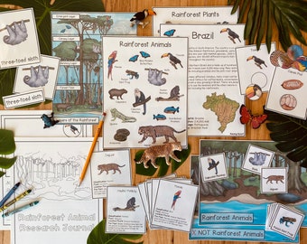 Rainforest Unit: Science Pack