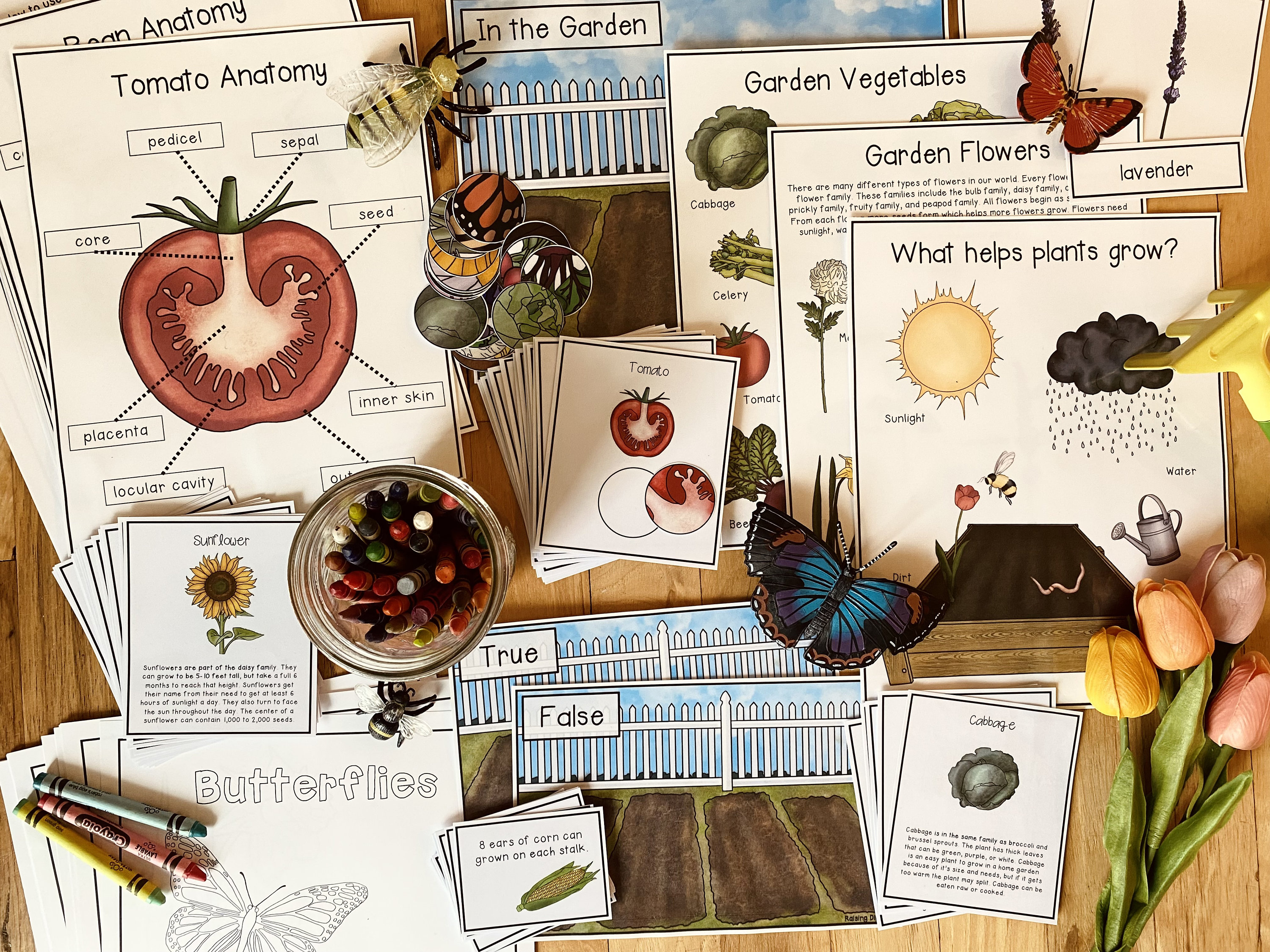 Garden Unit: Science Pack