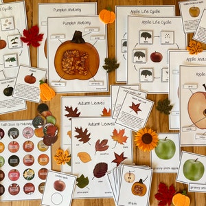 Herbst Einheit: Science Pack