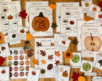 Herbst Einheit: Science Pack