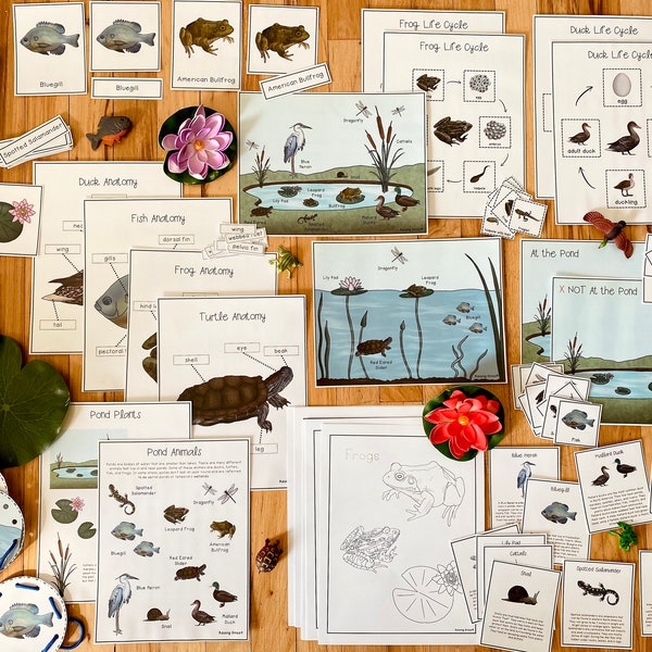 Teich Einheit: Science Pack