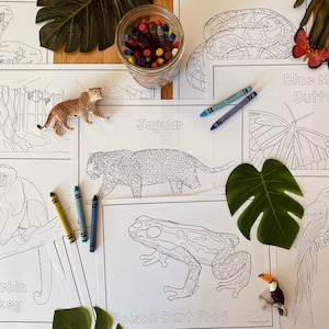 Rainforest Coloring Pages