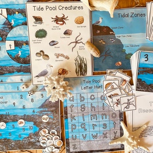 May include: A set of educational games and activities for learning about tide pools. The set includes a game board, dice, cards, and a research journal. The games feature colorful illustrations of tide pool creatures, such as sea stars, crabs, and anemones. The games are designed to help children learn about the different types of creatures that live in tide pools and the importance of protecting these ecosystems.