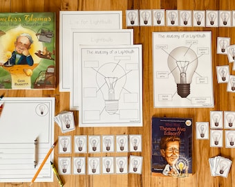 Lightbulb Mini Study