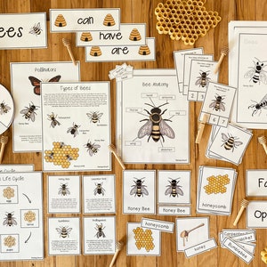 Bee Unit: Science Pack