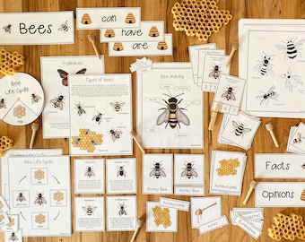 Bee Unit: Science Pack