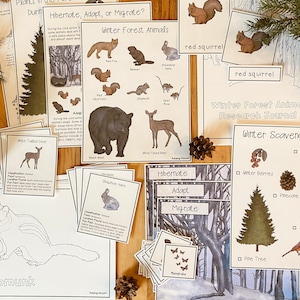 Winter Forest Unit: Science Pack