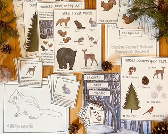 Winterwald-Einheit: Wissenschaftspaket