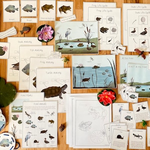 Pond Unit Bundle