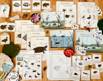 Pond Unit Bundle