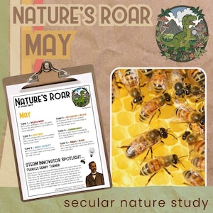 Peut inclure: Une ressource éducative imprimable intitulée "Nature's Roar" pour le mois de mai, avec une illustration de dinosaure et un gros plan d'abeilles sur un nid d'abeilles. La ressource comprend un éclairage sur l'innovateur STEAM Charles Henry Turner.