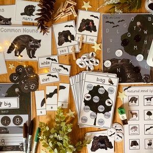 Nocturnal Animals Unit: Literacy Pack