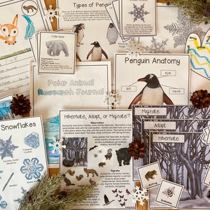 Winter Science Bundle
